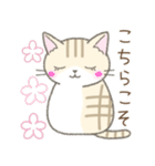毎日使える挨拶☆トラ猫（個別スタンプ：16）