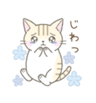 毎日使える挨拶☆トラ猫（個別スタンプ：20）