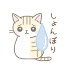 毎日使える挨拶☆トラ猫（個別スタンプ：21）