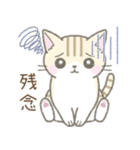 毎日使える挨拶☆トラ猫（個別スタンプ：22）