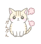 毎日使える挨拶☆トラ猫（個別スタンプ：24）