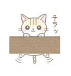 毎日使える挨拶☆トラ猫（個別スタンプ：25）