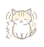 毎日使える挨拶☆トラ猫（個別スタンプ：26）