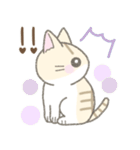 毎日使える挨拶☆トラ猫（個別スタンプ：28）