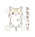 毎日使える挨拶☆トラ猫（個別スタンプ：31）