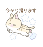 毎日使える挨拶☆トラ猫（個別スタンプ：33）