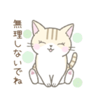 毎日使える挨拶☆トラ猫（個別スタンプ：38）