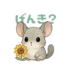 チンチラのスーさんと一緒 -夏-（個別スタンプ：19）