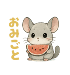 チンチラのスーさんと一緒 -夏-（個別スタンプ：29）