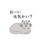 灰色ねこさんの日常（個別スタンプ：7）