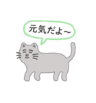 灰色ねこさんの日常（個別スタンプ：8）