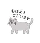 灰色ねこさんの日常（個別スタンプ：13）