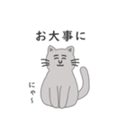 灰色ねこさんの日常（個別スタンプ：19）
