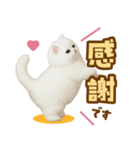 むっちり白ねこ☆（個別スタンプ：1）