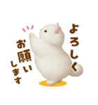 むっちり白ねこ☆（個別スタンプ：4）