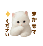 むっちり白ねこ☆（個別スタンプ：8）