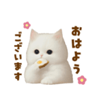 むっちり白ねこ☆（個別スタンプ：9）