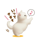 むっちり白ねこ☆（個別スタンプ：12）