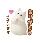 むっちり白ねこ☆（個別スタンプ：13）