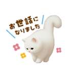 むっちり白ねこ☆（個別スタンプ：17）