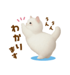むっちり白ねこ☆（個別スタンプ：19）