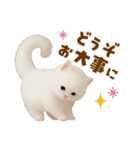 むっちり白ねこ☆（個別スタンプ：24）
