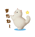 むっちり白ねこ☆（個別スタンプ：25）