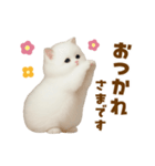 むっちり白ねこ☆（個別スタンプ：27）