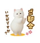 むっちり白ねこ☆（個別スタンプ：28）