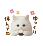 むっちり白ねこ☆（個別スタンプ：33）