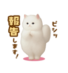 むっちり白ねこ☆（個別スタンプ：37）