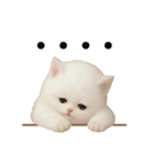 むっちり白ねこ☆（個別スタンプ：39）