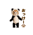 踊る！着ぐるみネコ。（個別スタンプ：3）