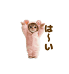 踊る！着ぐるみネコ。（個別スタンプ：6）