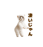 踊る！着ぐるみネコ。（個別スタンプ：10）