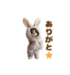 踊る！着ぐるみネコ。（個別スタンプ：11）