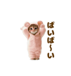 踊る！着ぐるみネコ。（個別スタンプ：19）
