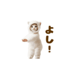 踊る！着ぐるみネコ。（個別スタンプ：21）