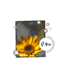 はるかの花束 デージー（個別スタンプ：2）