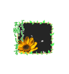 はるかの花束 デージー（個別スタンプ：4）