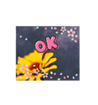 はるかの花束 デージー（個別スタンプ：5）