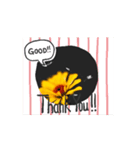 はるかの花束 デージー（個別スタンプ：7）