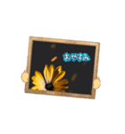 はるかの花束 デージー（個別スタンプ：8）
