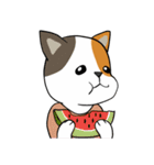 三毛猫の笑い声（個別スタンプ：5）