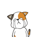 三毛猫の笑い声（個別スタンプ：7）