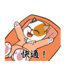 三毛猫の笑い声（個別スタンプ：9）