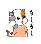 三毛猫の笑い声（個別スタンプ：10）