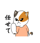 三毛猫の笑い声（個別スタンプ：11）