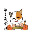 三毛猫の笑い声（個別スタンプ：19）