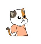 三毛猫の笑い声（個別スタンプ：24）